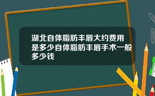 湖北自体脂肪丰唇大约费用是多少自体脂肪丰唇手术一般多少钱