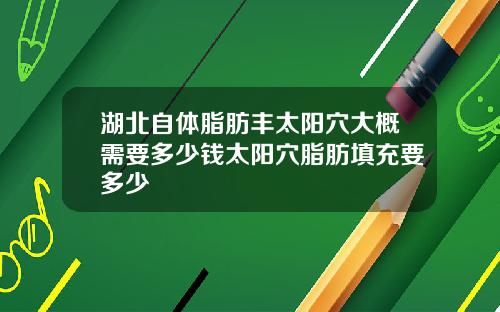 湖北自体脂肪丰太阳穴大概需要多少钱太阳穴脂肪填充要多少