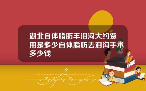 湖北自体脂肪丰泪沟大约费用是多少自体脂肪去泪沟手术多少钱