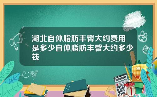 湖北自体脂肪丰臀大约费用是多少自体脂肪丰臀大约多少钱