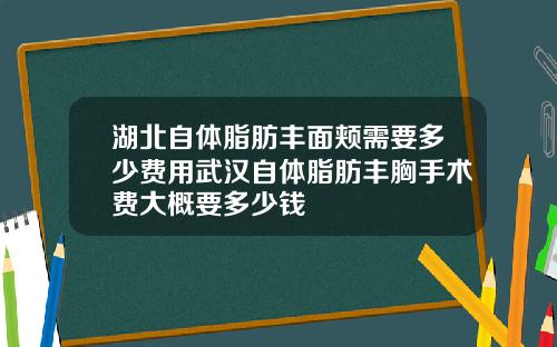 湖北自体脂肪丰面颊需要多少费用武汉自体脂肪丰胸手术费大概要多少钱