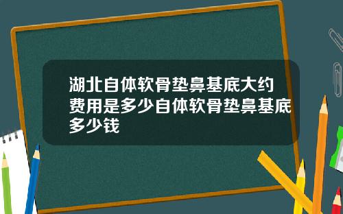 湖北自体软骨垫鼻基底大约费用是多少自体软骨垫鼻基底多少钱
