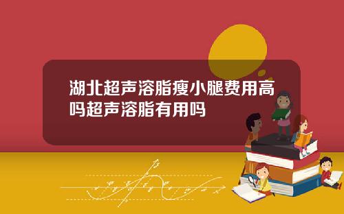 湖北超声溶脂瘦小腿费用高吗超声溶脂有用吗