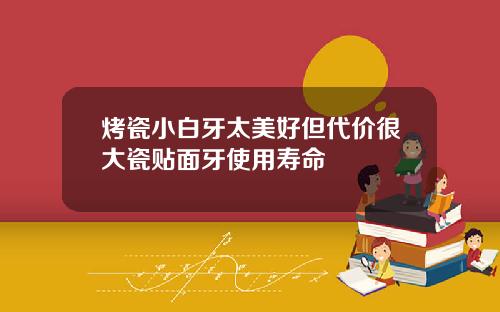 烤瓷小白牙太美好但代价很大瓷贴面牙使用寿命