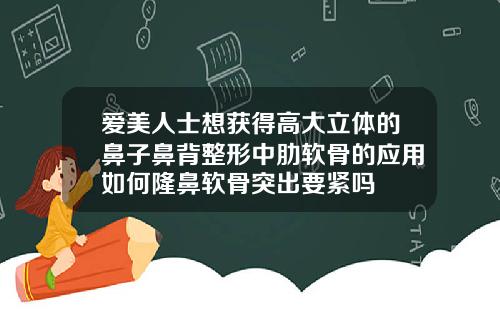 爱美人士想获得高大立体的鼻子鼻背整形中肋软骨的应用如何隆鼻软骨突出要紧吗
