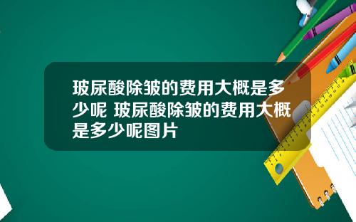 玻尿酸除皱的费用大概是多少呢 玻尿酸除皱的费用大概是多少呢图片
