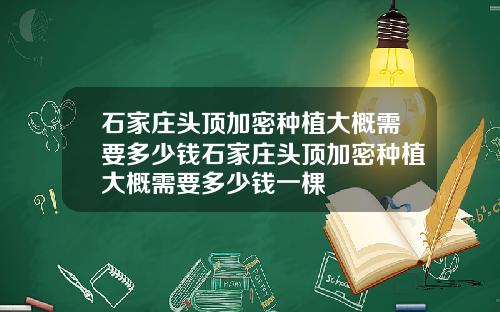 石家庄头顶加密种植大概需要多少钱石家庄头顶加密种植大概需要多少钱一棵