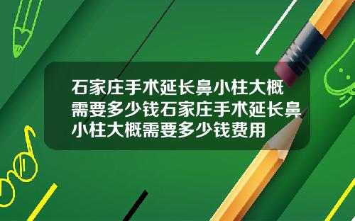 石家庄手术延长鼻小柱大概需要多少钱石家庄手术延长鼻小柱大概需要多少钱费用