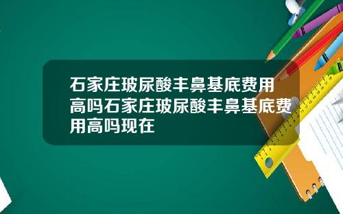 石家庄玻尿酸丰鼻基底费用高吗石家庄玻尿酸丰鼻基底费用高吗现在