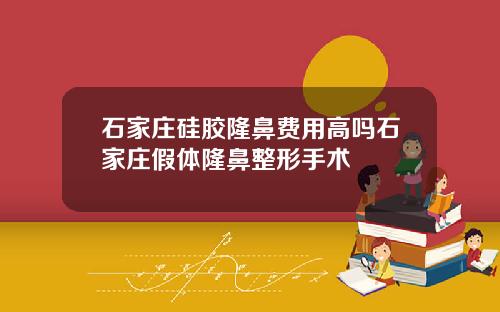 石家庄硅胶隆鼻费用高吗石家庄假体隆鼻整形手术