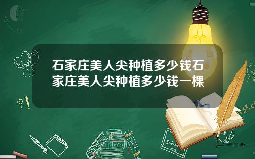 石家庄美人尖种植多少钱石家庄美人尖种植多少钱一棵