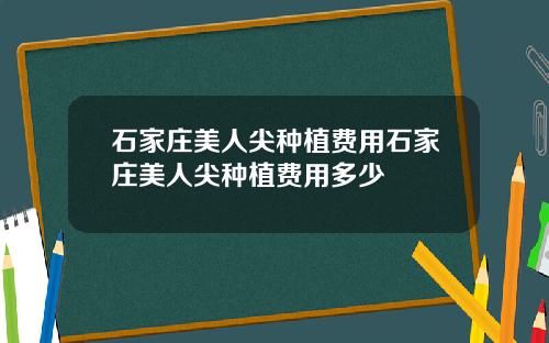 石家庄美人尖种植费用石家庄美人尖种植费用多少