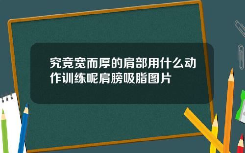 究竟宽而厚的肩部用什么动作训练呢肩膀吸脂图片