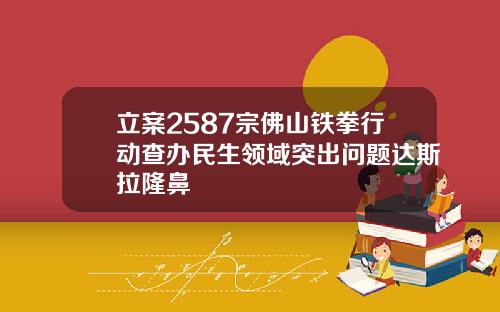立案2587宗佛山铁拳行动查办民生领域突出问题达斯拉隆鼻
