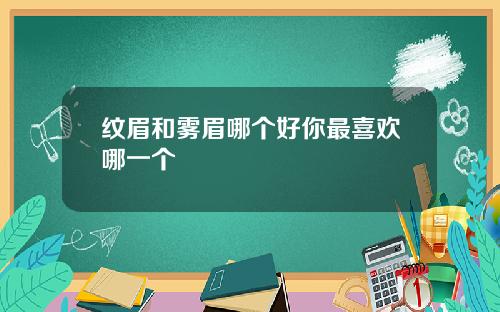 纹眉和雾眉哪个好你最喜欢哪一个