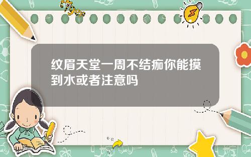 纹眉天堂一周不结痂你能摸到水或者注意吗