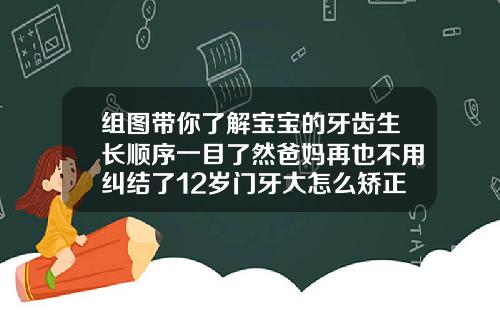 组图带你了解宝宝的牙齿生长顺序一目了然爸妈再也不用纠结了12岁门牙大怎么矫正视频