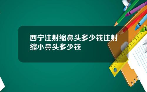 西宁注射缩鼻头多少钱注射缩小鼻头多少钱