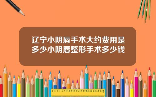 辽宁小阴唇手术大约费用是多少小阴唇整形手术多少钱
