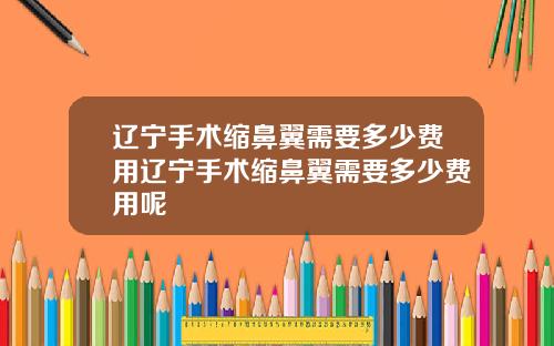 辽宁手术缩鼻翼需要多少费用辽宁手术缩鼻翼需要多少费用呢
