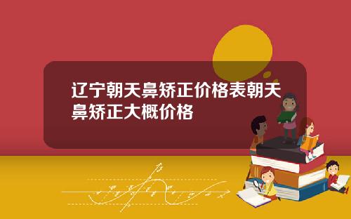 辽宁朝天鼻矫正价格表朝天鼻矫正大概价格