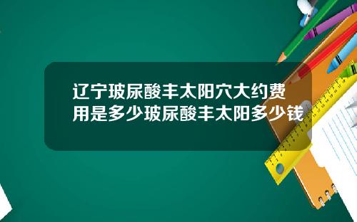 辽宁玻尿酸丰太阳穴大约费用是多少玻尿酸丰太阳多少钱