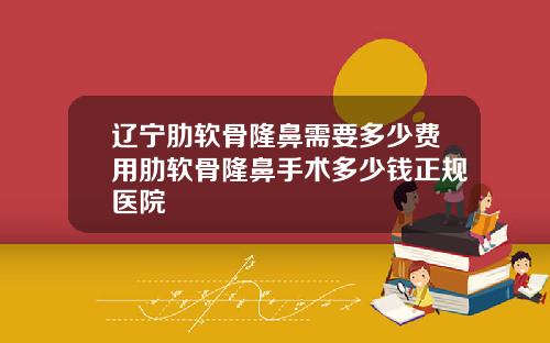 辽宁肋软骨隆鼻需要多少费用肋软骨隆鼻手术多少钱正规医院