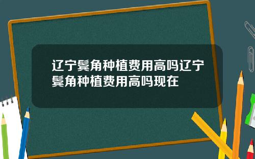 辽宁鬓角种植费用高吗辽宁鬓角种植费用高吗现在