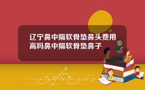 辽宁鼻中隔软骨垫鼻头费用高吗鼻中隔软骨垫鼻子