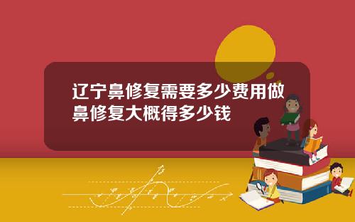 辽宁鼻修复需要多少费用做鼻修复大概得多少钱
