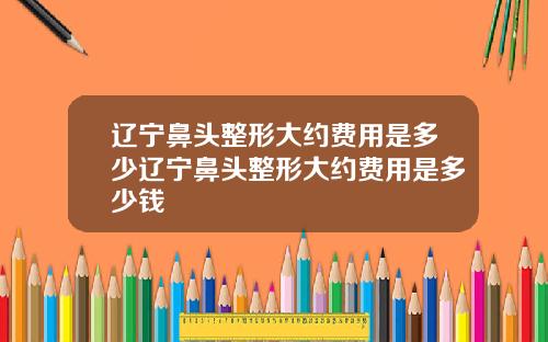 辽宁鼻头整形大约费用是多少辽宁鼻头整形大约费用是多少钱