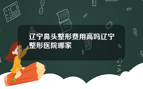辽宁鼻头整形费用高吗辽宁整形医院哪家