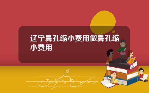 辽宁鼻孔缩小费用做鼻孔缩小费用