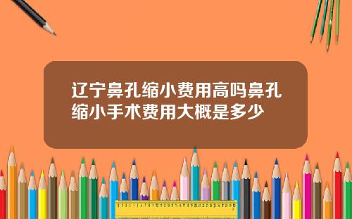 辽宁鼻孔缩小费用高吗鼻孔缩小手术费用大概是多少