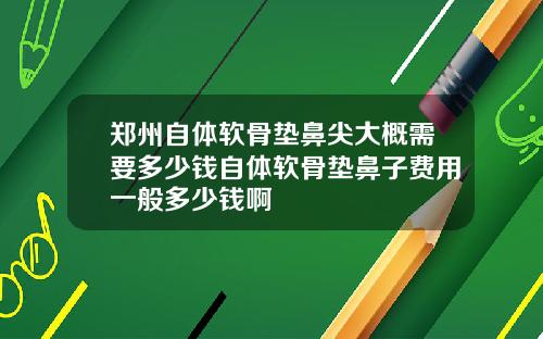 郑州自体软骨垫鼻尖大概需要多少钱自体软骨垫鼻子费用一般多少钱啊