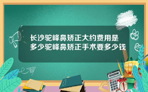 长沙驼峰鼻矫正大约费用是多少驼峰鼻矫正手术要多少钱