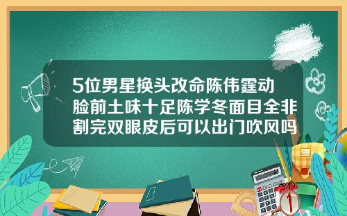 5位男星换头改命陈伟霆动脸前土味十足陈学冬面目全非割完双眼皮后可以出门吹风吗有影响吗