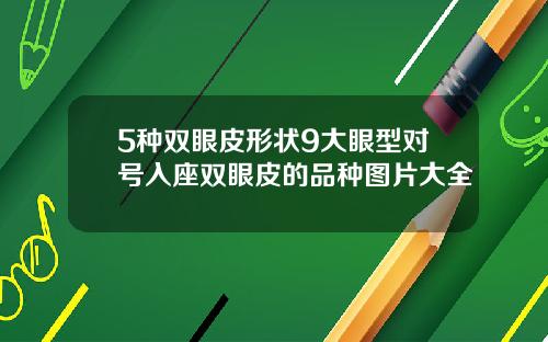 5种双眼皮形状9大眼型对号入座双眼皮的品种图片大全