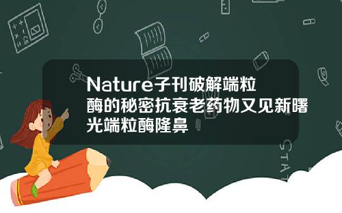 Nature子刊破解端粒酶的秘密抗衰老药物又见新曙光端粒酶隆鼻