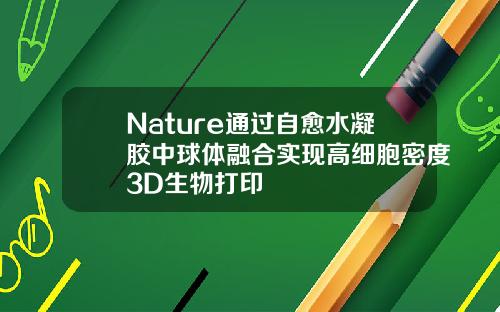 Nature通过自愈水凝胶中球体融合实现高细胞密度3D生物打印