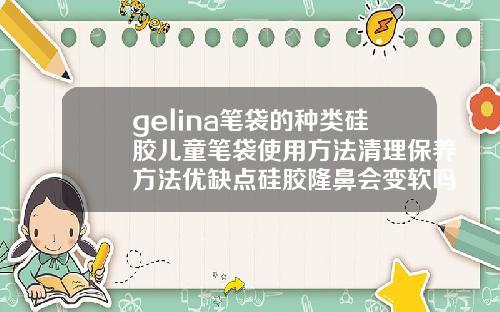 gelina笔袋的种类硅胶儿童笔袋使用方法清理保养方法优缺点硅胶隆鼻会变软吗