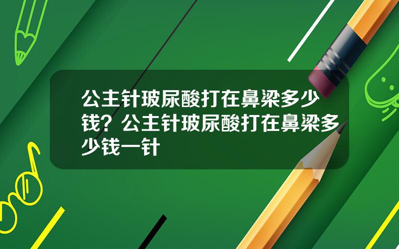 公主针玻尿酸打在鼻梁多少钱？公主针玻尿酸打在鼻梁多少钱一针