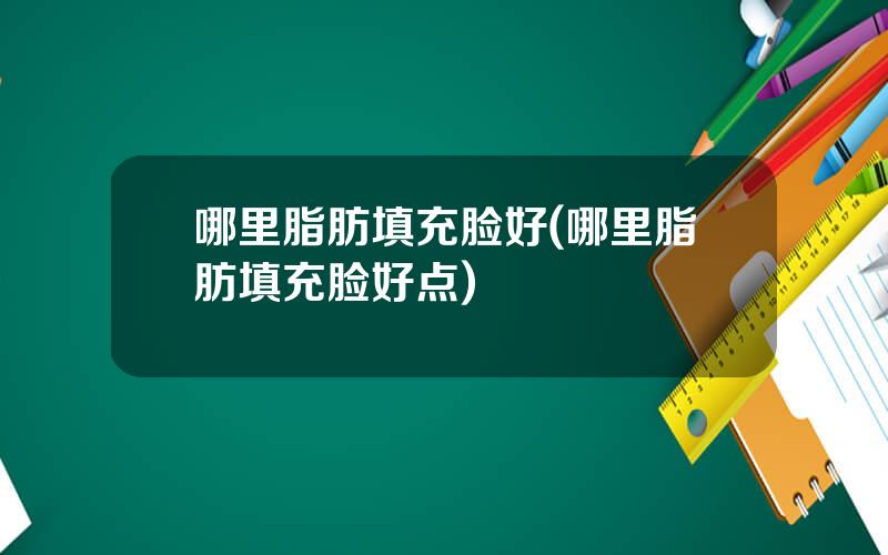 哪里脂肪填充脸好(哪里脂肪填充脸好点)
