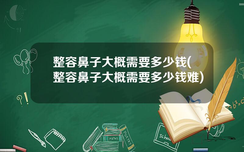 整容鼻子大概需要多少钱(整容鼻子大概需要多少钱难)