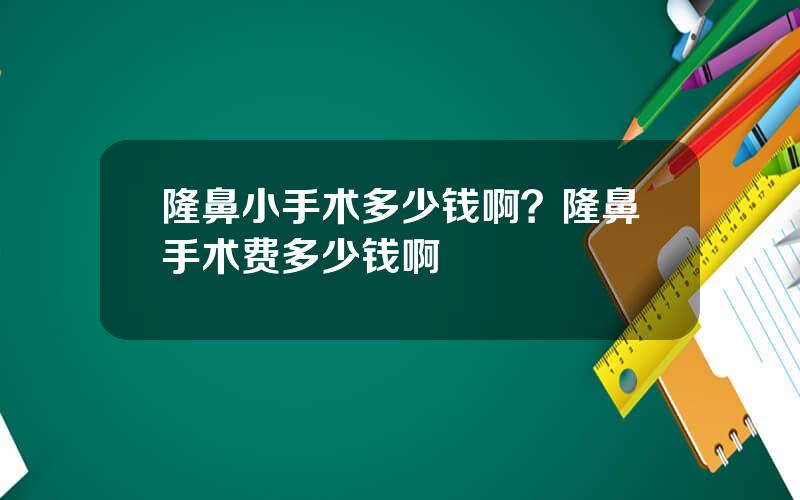隆鼻小手术多少钱啊？隆鼻手术费多少钱啊