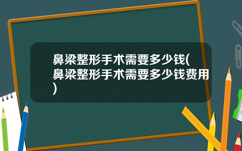 鼻梁整形手术需要多少钱(鼻梁整形手术需要多少钱费用)